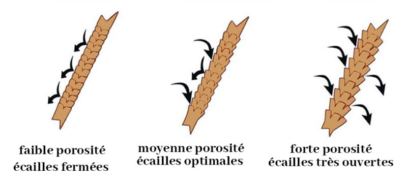 Porosité